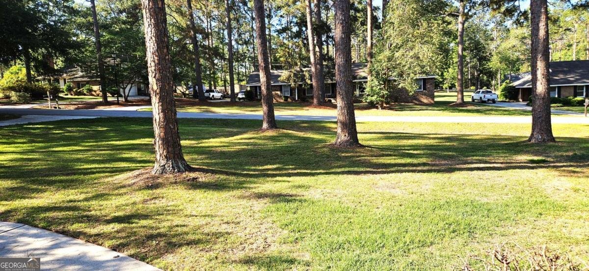 104 Pine Bluff Drive Statesboro - Photo 10