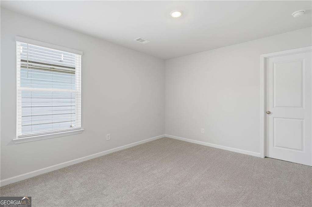 107 Meander Drive Woodstock - Photo 32