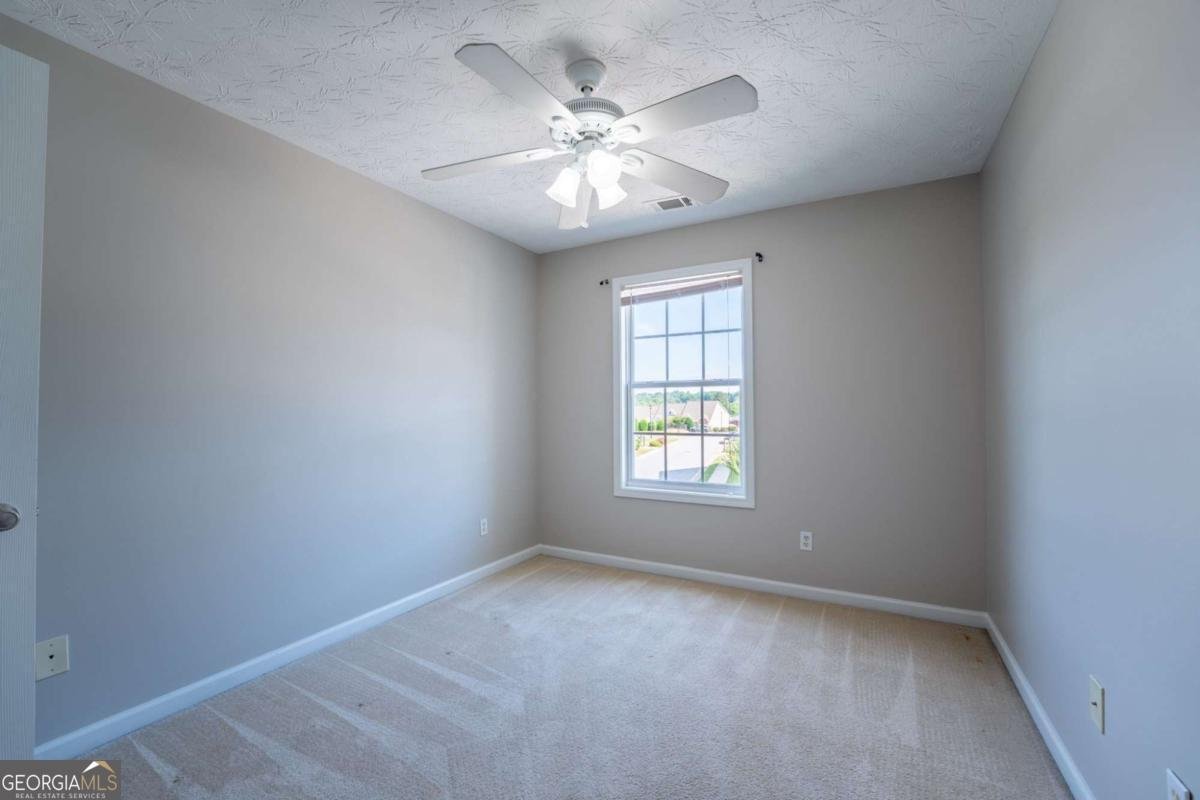 4 Madaline Lane Dawsonville - Photo 43