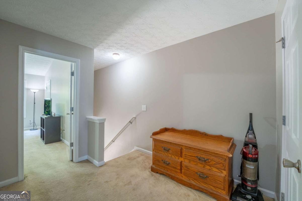 4 Madaline Lane Dawsonville - Photo 49