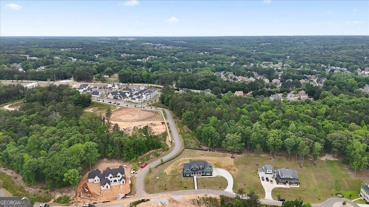 3068 Turning Creek Trail Dacula - Photo 78