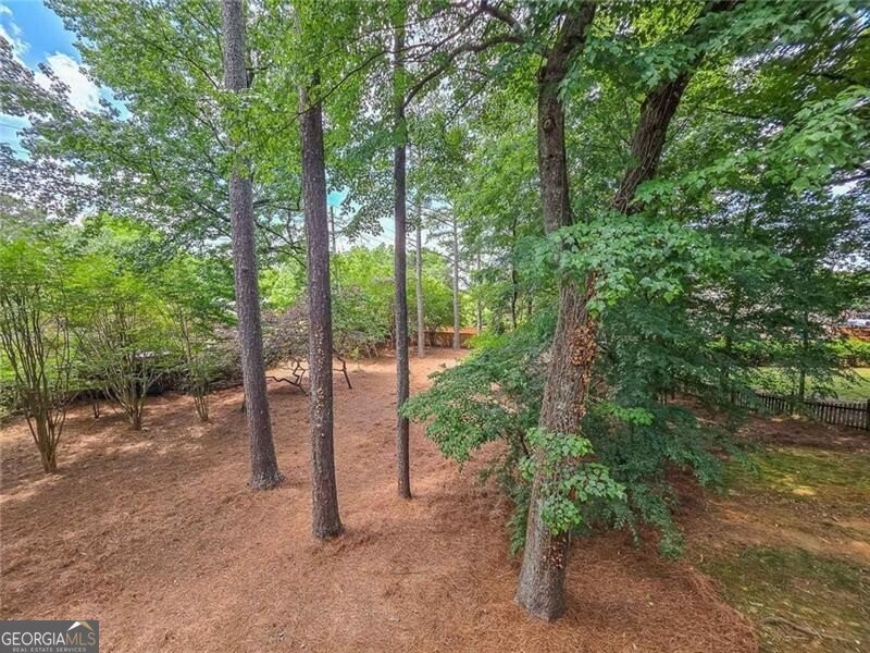 2820 Towne Village Drive Duluth - Photo 45