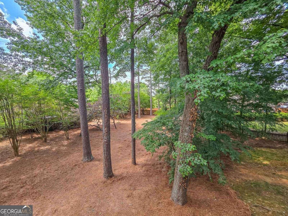 2820 Towne Village Drive Duluth - Photo 44