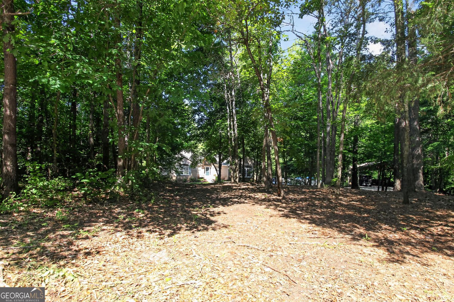 72 Lake Court Jefferson - Photo 52