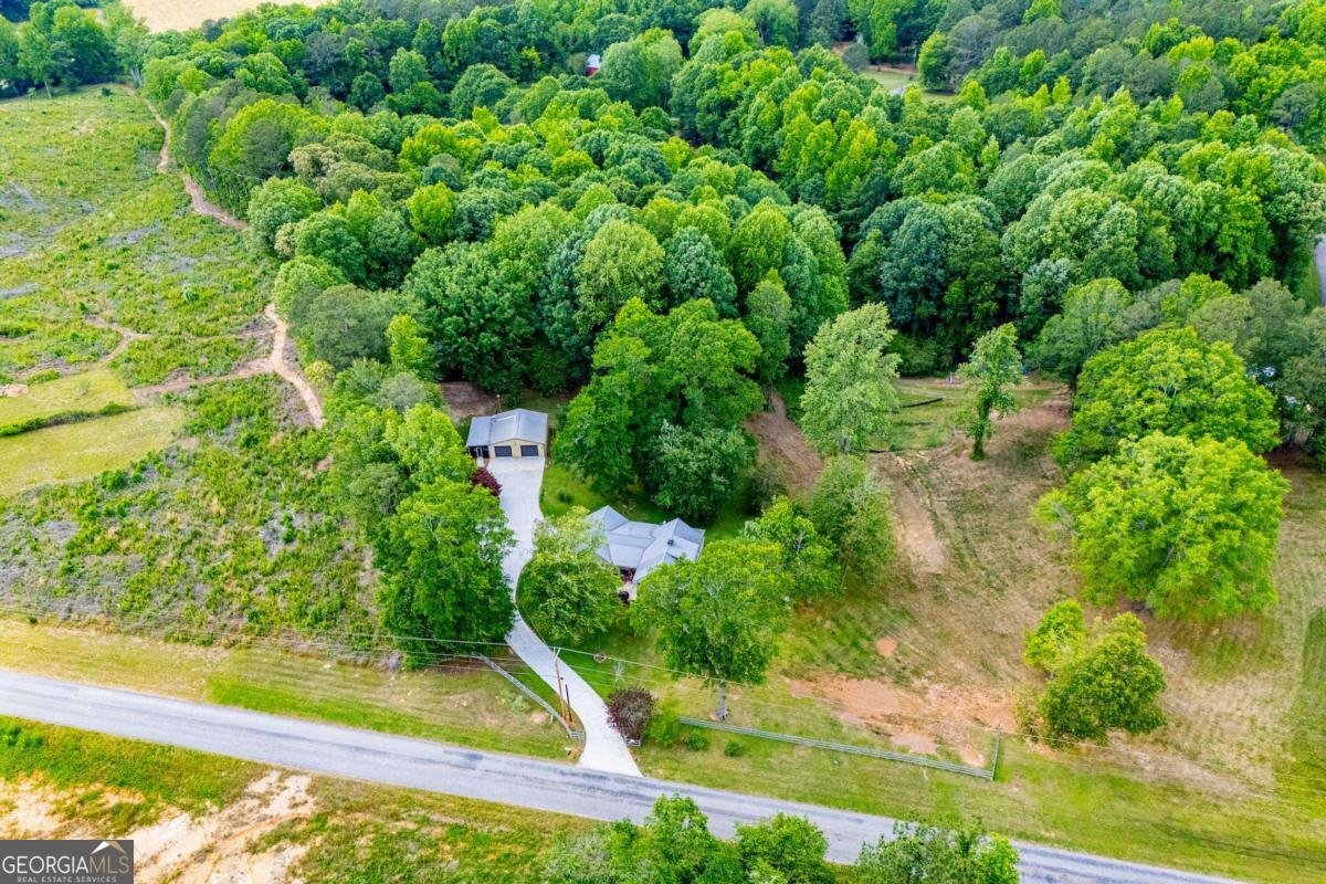 436 County Rd 98 Ranburne - Photo 54