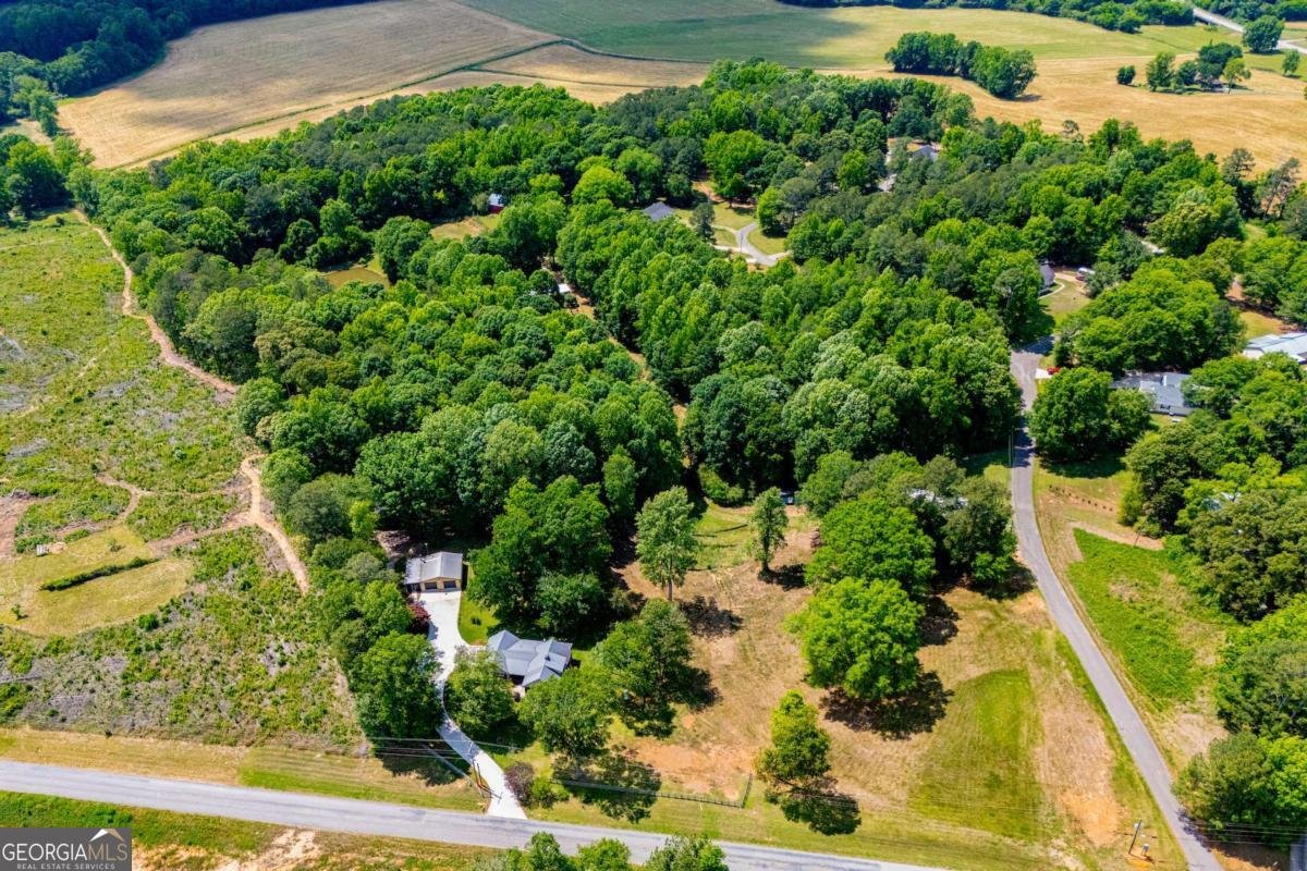 436 County Rd 98 Ranburne - Photo 57