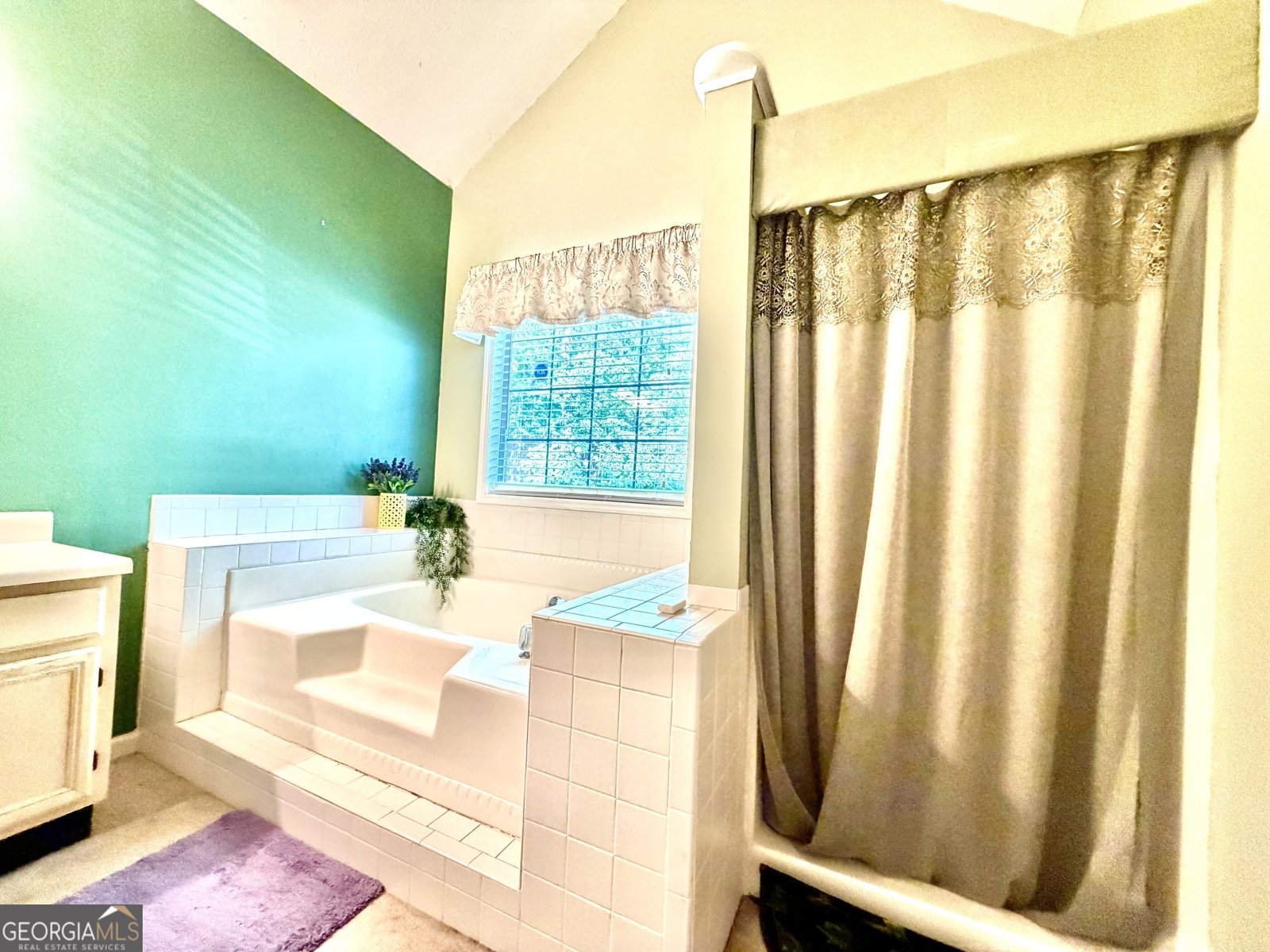 100 Sherbrooke Way Griffin - Photo 36