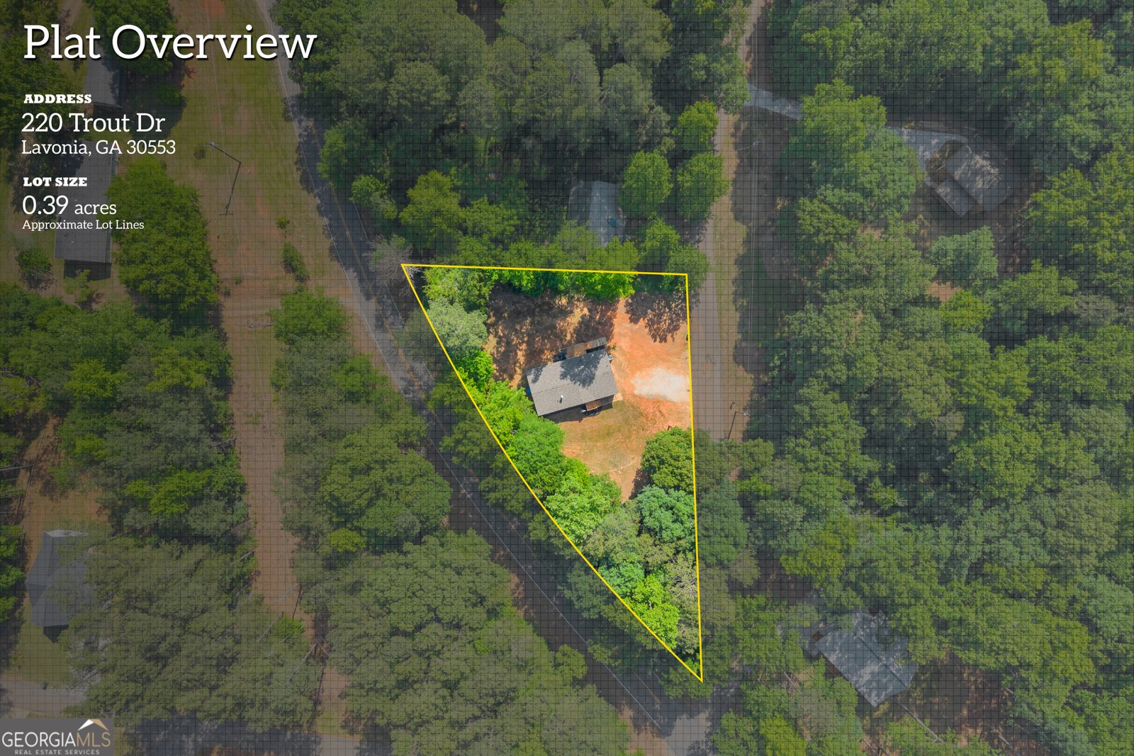 220 Trout Drive Lavonia - Photo 33