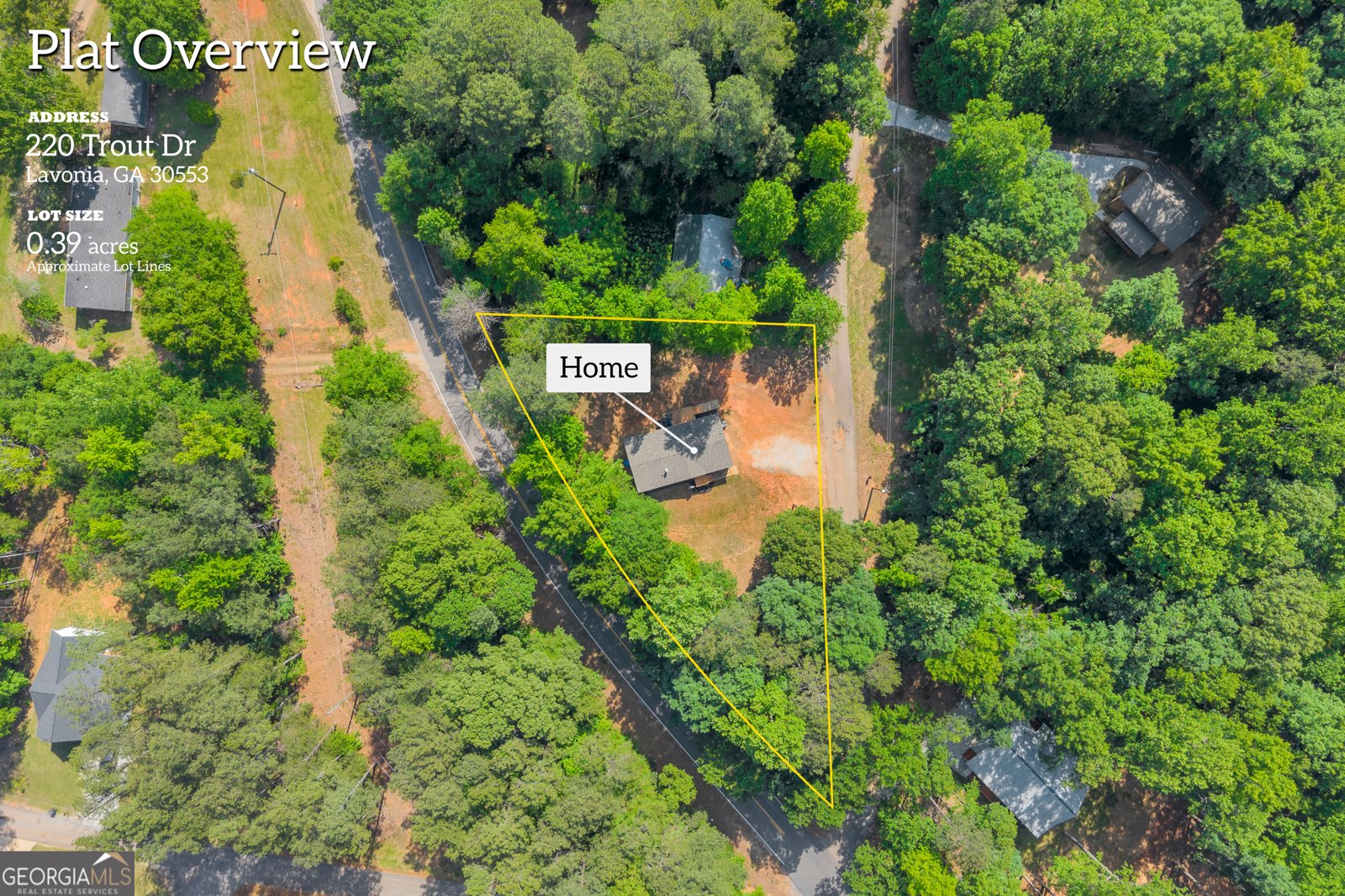 220 Trout Drive Lavonia - Photo 34