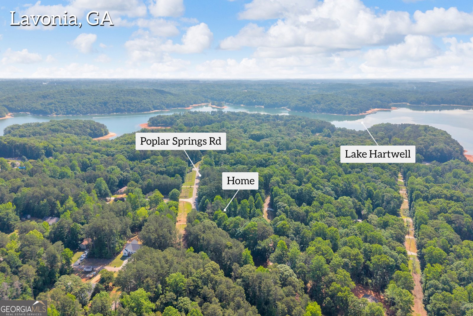 220 Trout Drive Lavonia - Photo 39