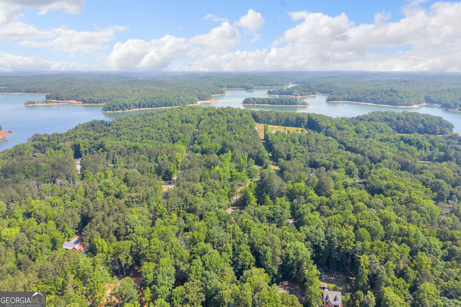 220 Trout Drive Lavonia - Photo 41