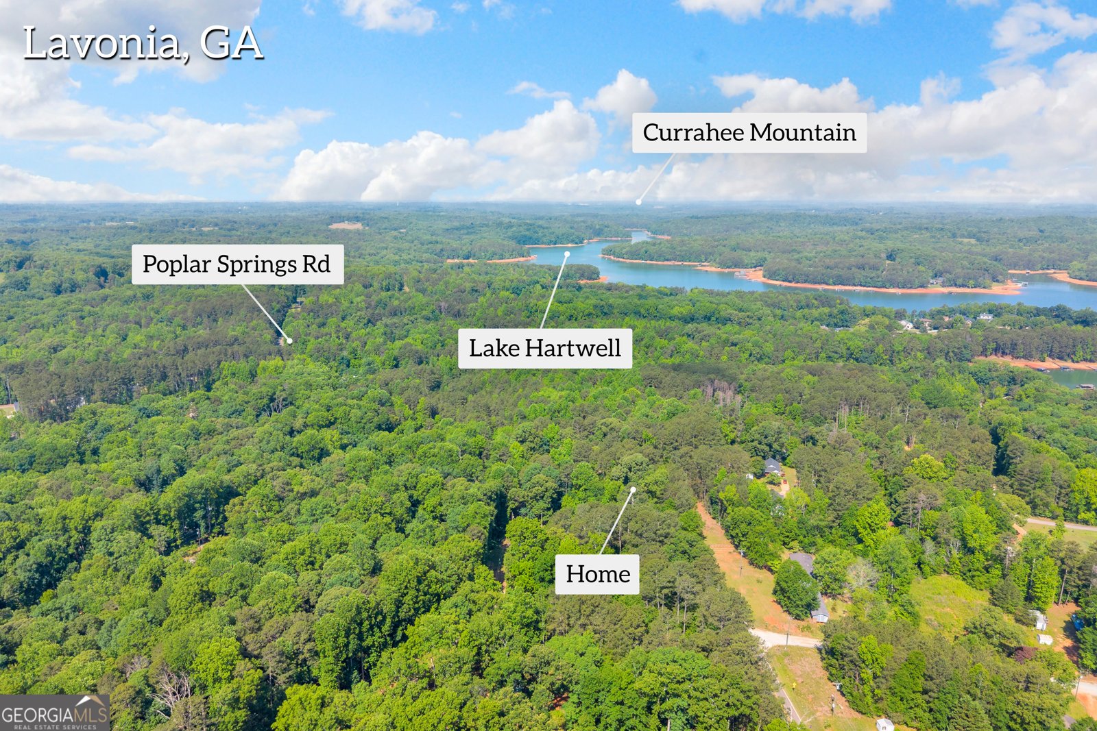 220 Trout Drive Lavonia - Photo 45
