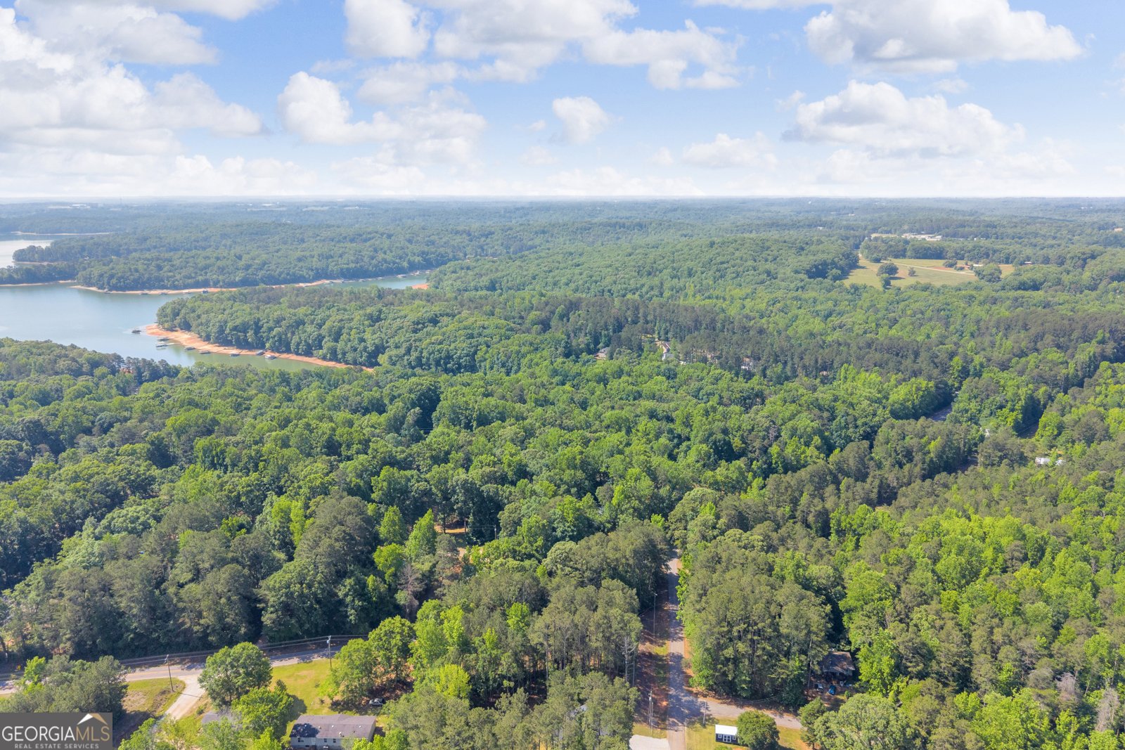 220 Trout Drive Lavonia - Photo 46