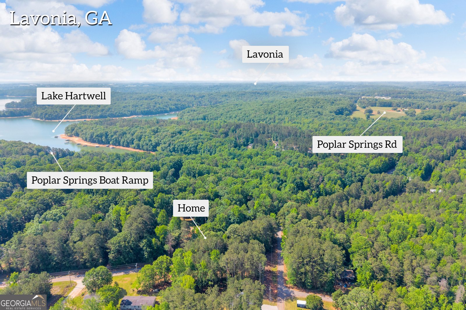 220 Trout Drive Lavonia - Photo 47