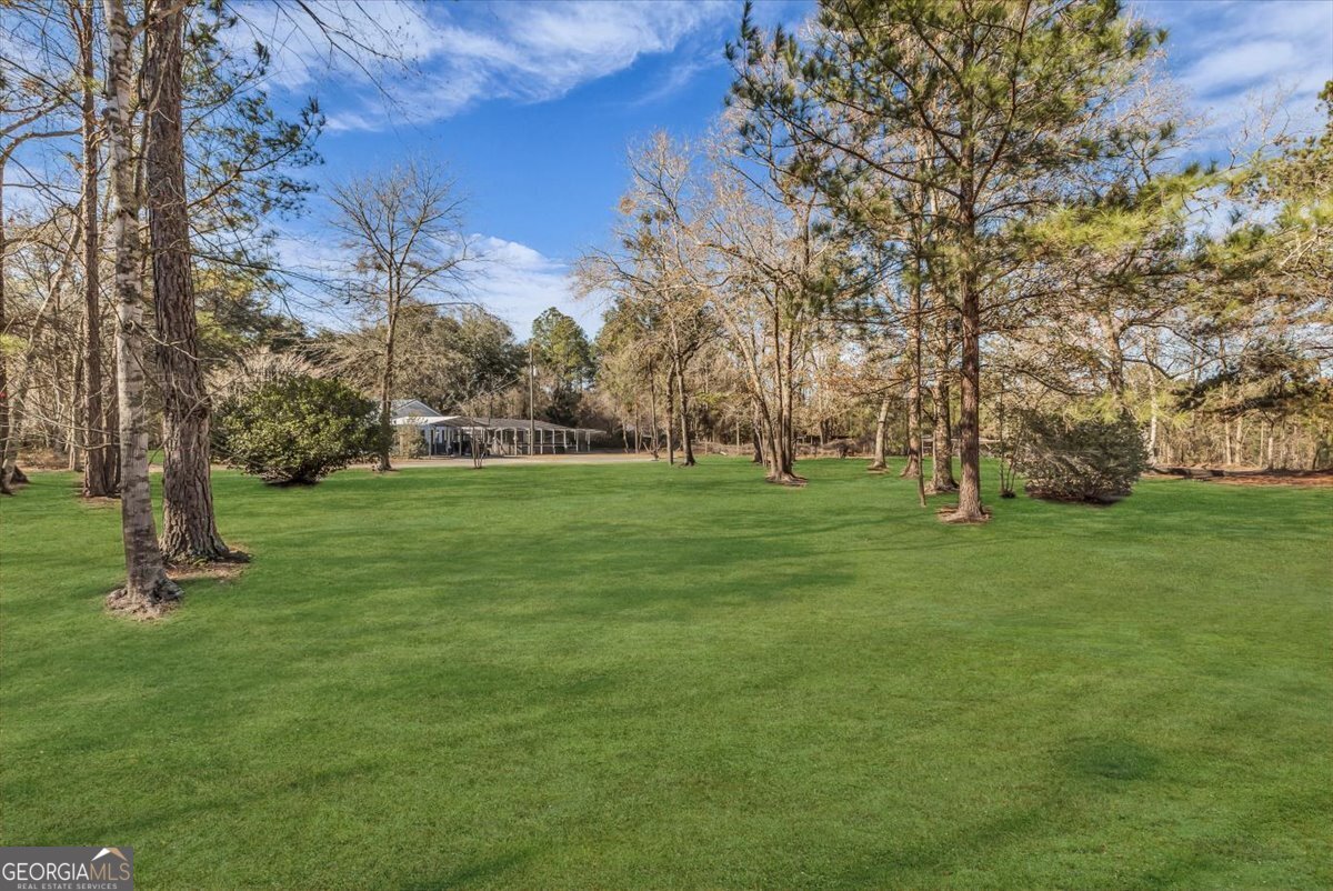 128 William Smith Lane Ludowici - Photo 10