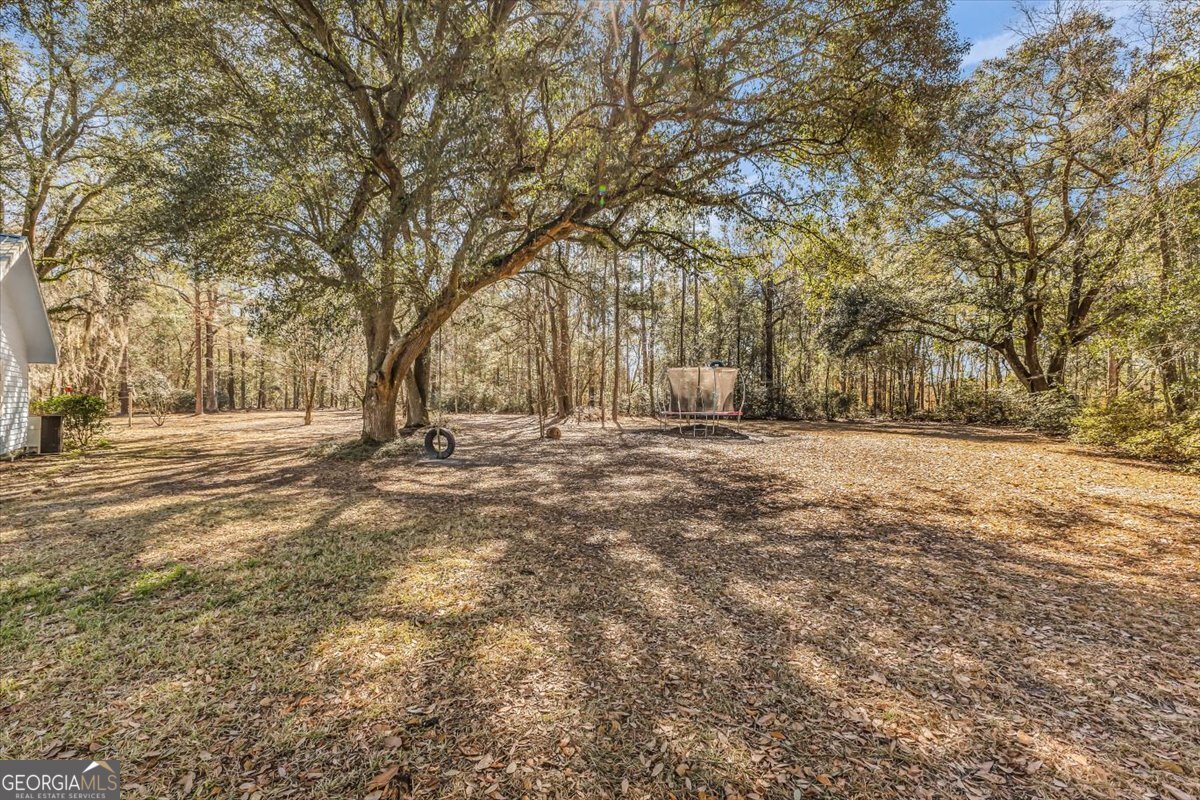 128 William Smith Lane Ludowici - Photo 51