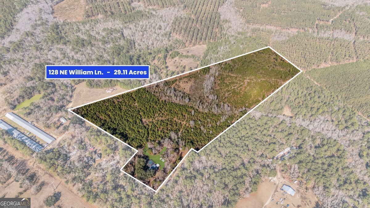 128 William Smith Lane Ludowici - Photo 54