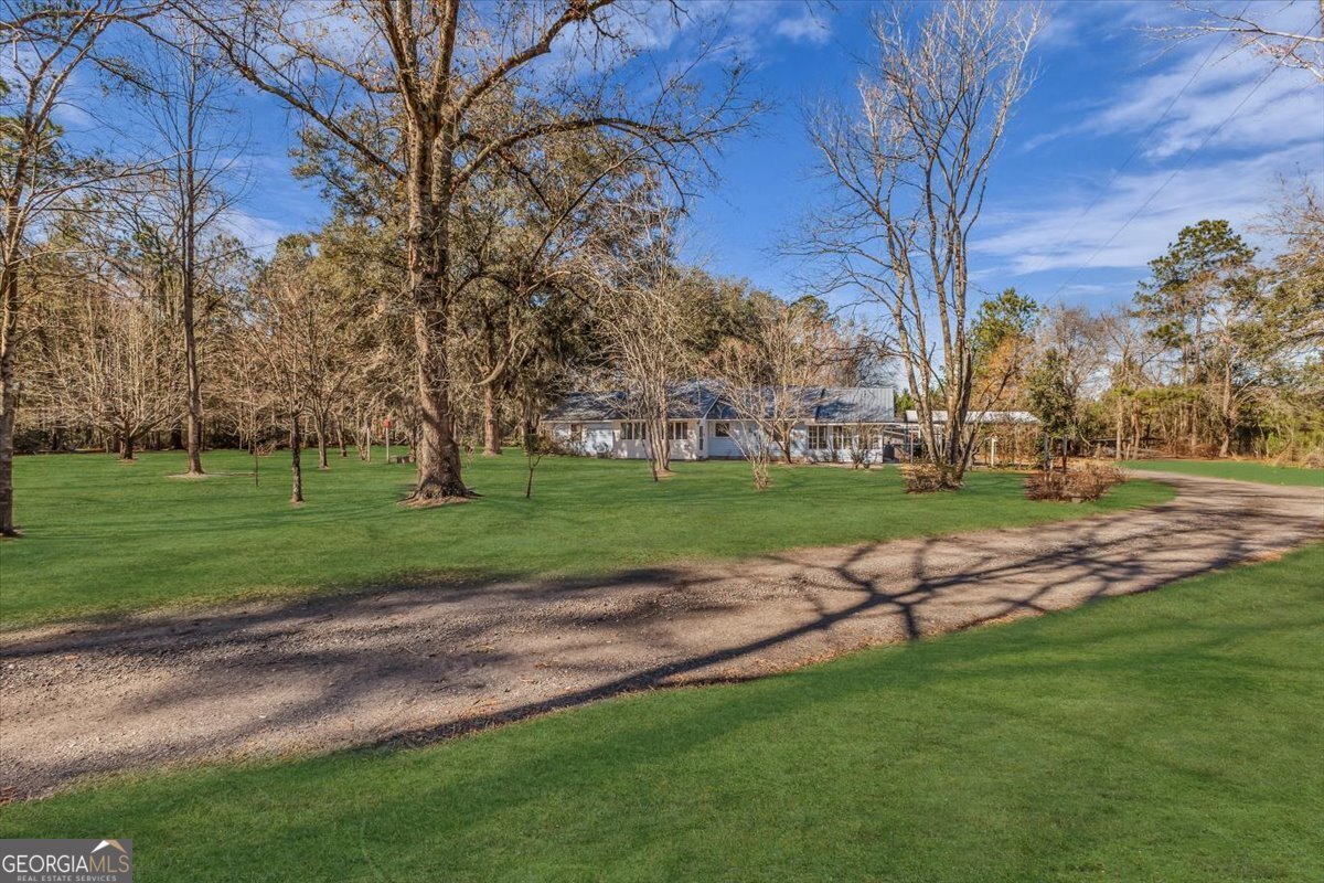 128 William Smith Lane Ludowici - Photo 8