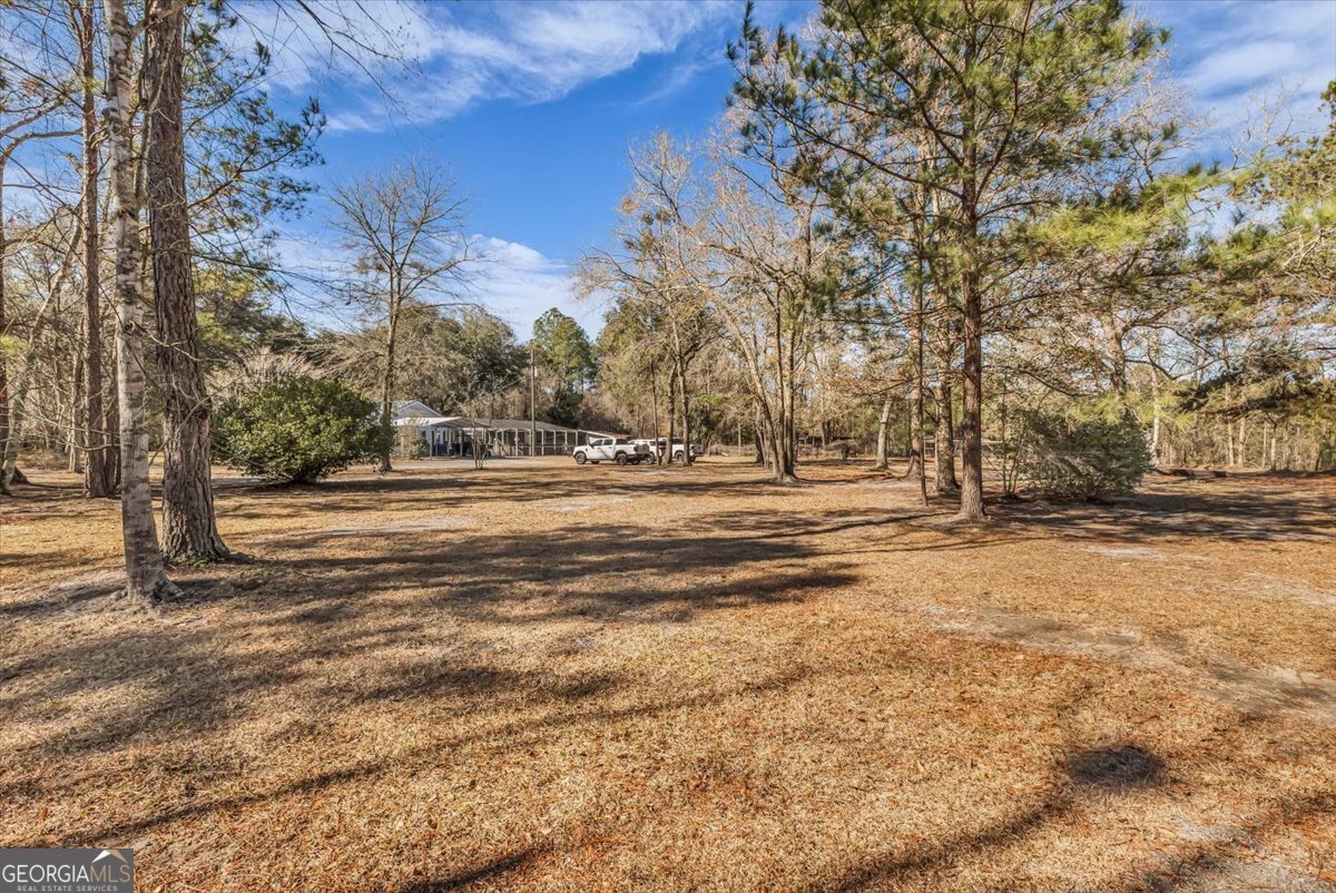 128 William Smith Lane Ludowici - Photo 9