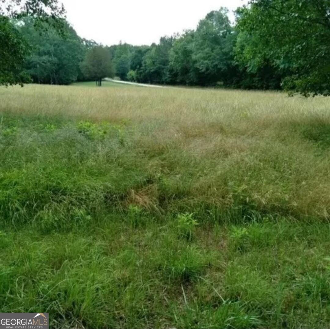 670 Cedar Grove Church Road Jefferson - Photo 48