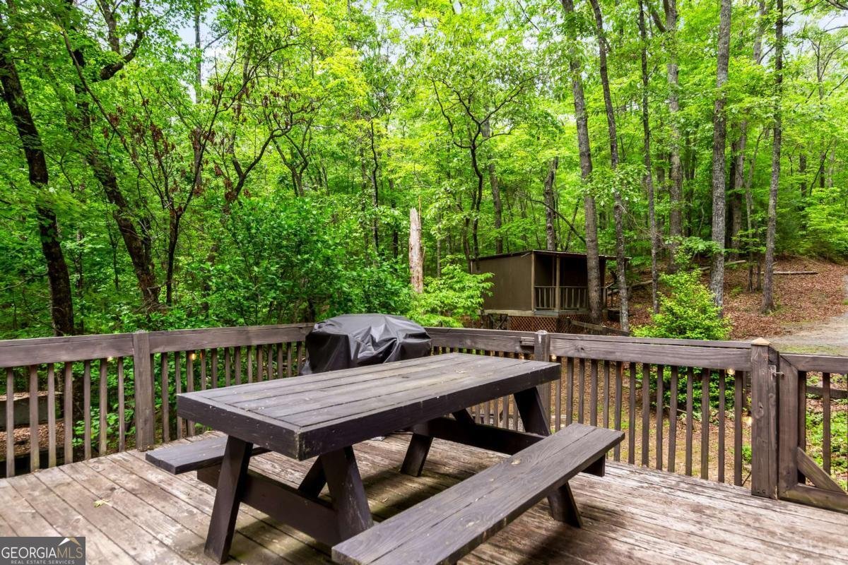 317 North Pine Road Ellijay - Photo 41