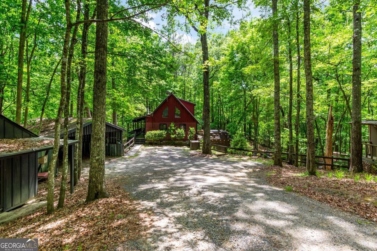 317 North Pine Road Ellijay - Photo 46