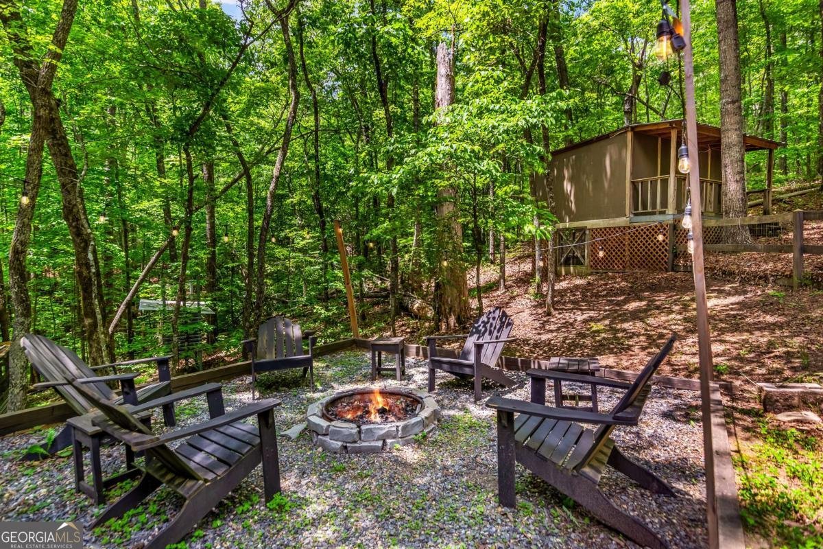 317 North Pine Road Ellijay - Photo 48