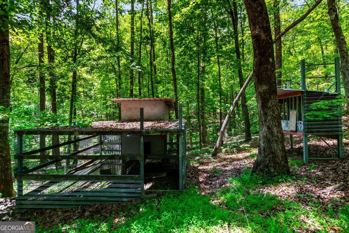 317 North Pine Road Ellijay - Photo 52