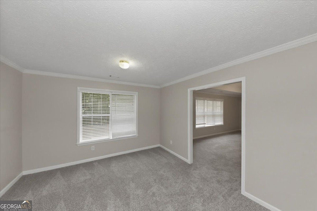 3828 Martingale Drive Conyers - Photo 30