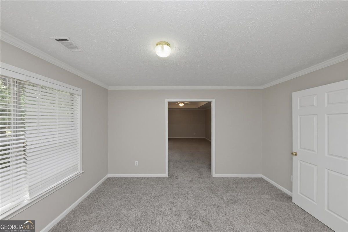 3828 Martingale Drive Conyers - Photo 31
