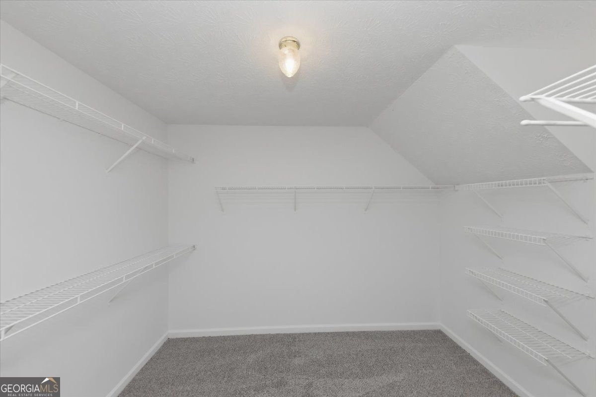 3828 Martingale Drive Conyers - Photo 39