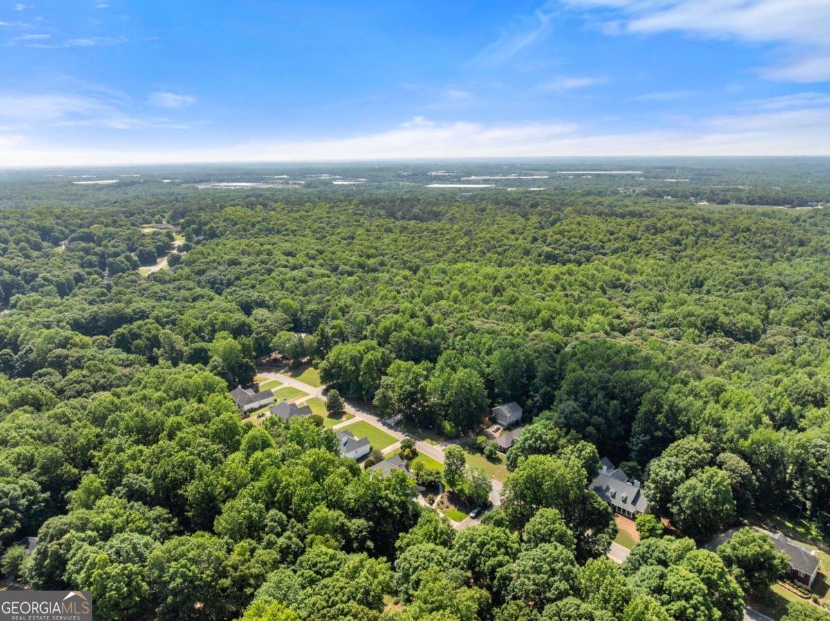 207 Nugget Trail Braselton - Photo 55