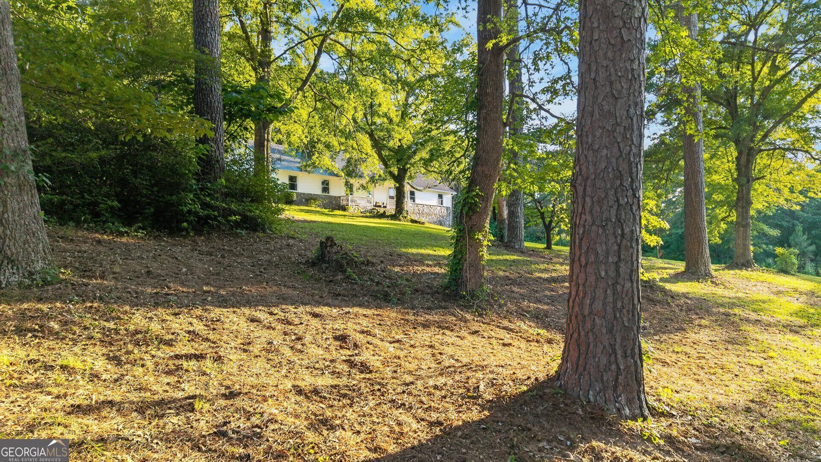 662 Highway 18 Barnesville - Photo 59