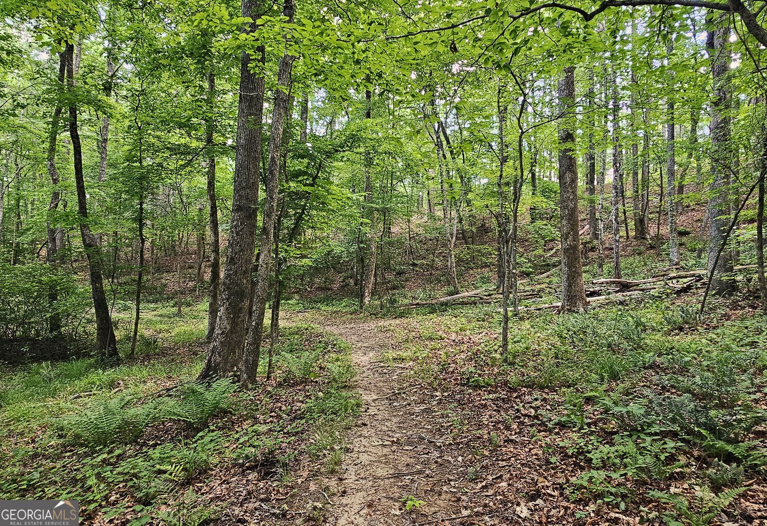 5731 Five Notch Trail Douglasville - Photo 30