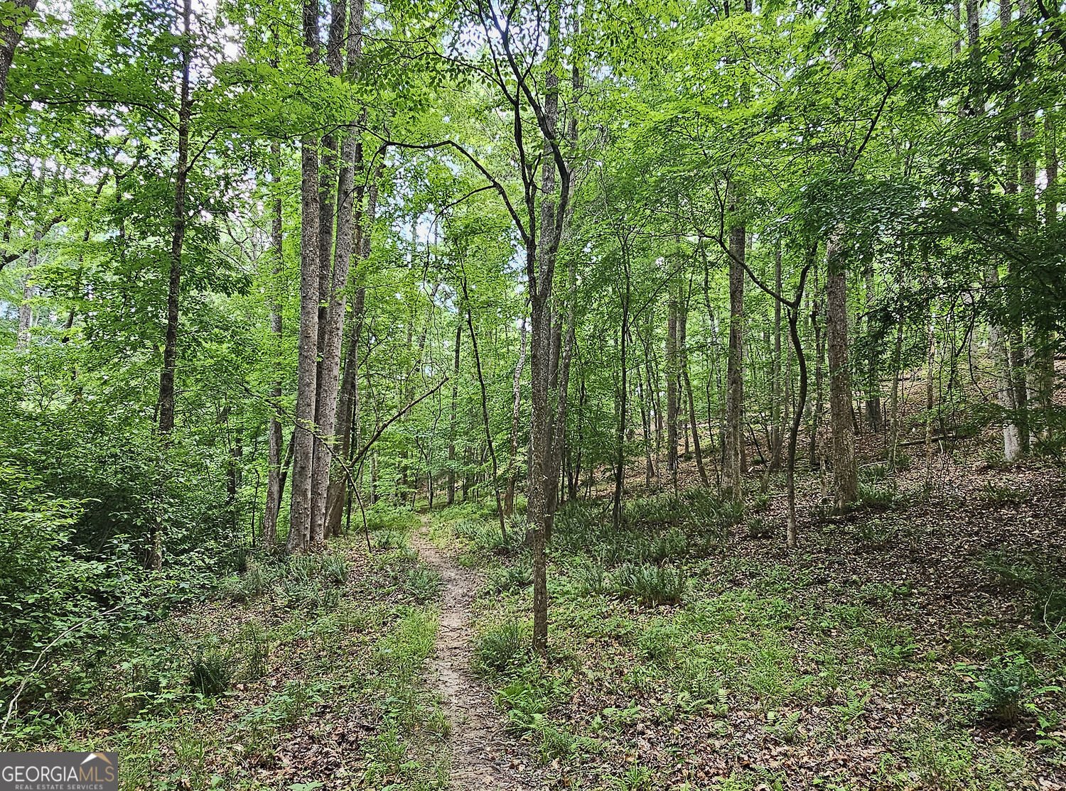 5731 Five Notch Trail Douglasville - Photo 32