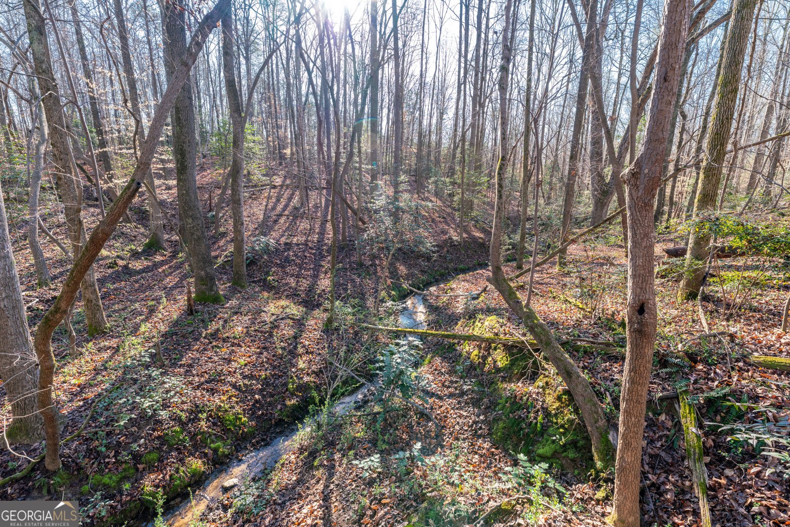 2456 Eddleman Drive Dewy Rose - Photo 12