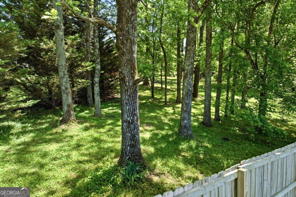 144 Georgia Street Demorest - Photo 31
