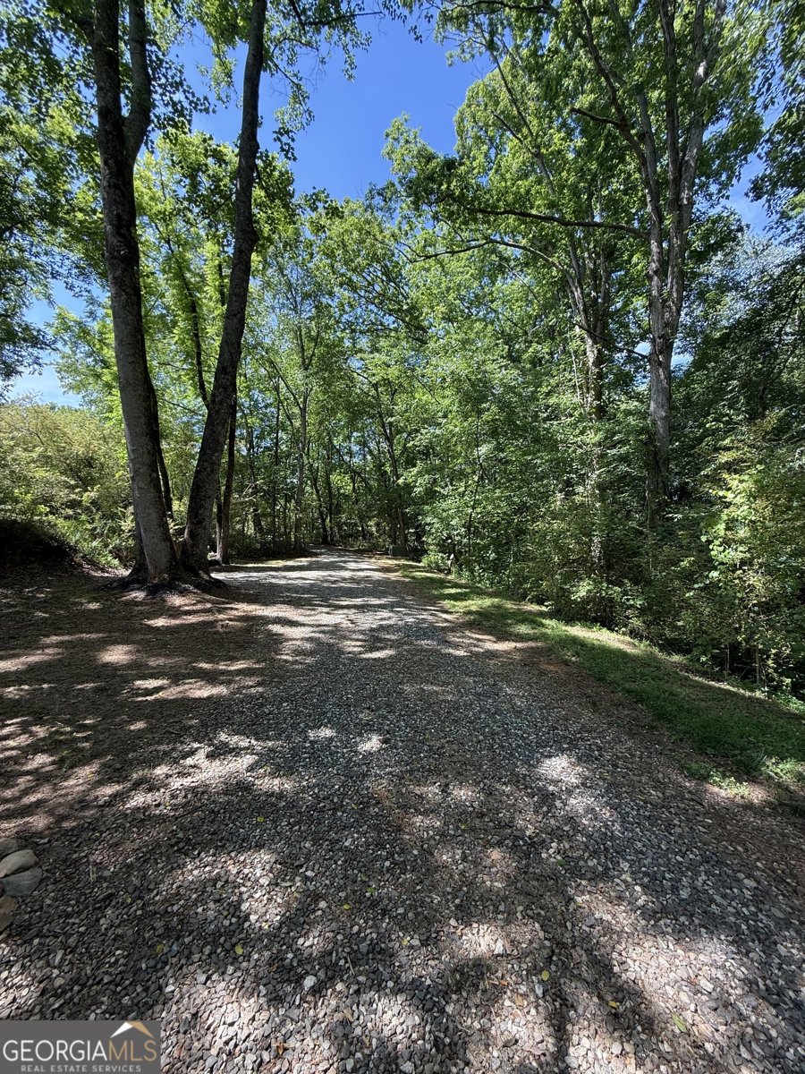 110 Cody Road Mount Airy - Photo 39