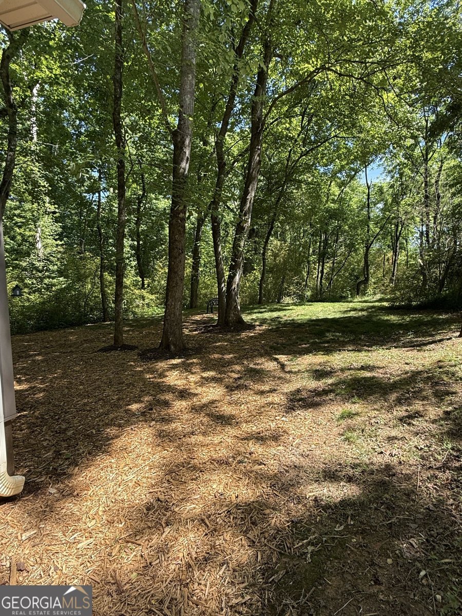110 Cody Road Mount Airy - Photo 42