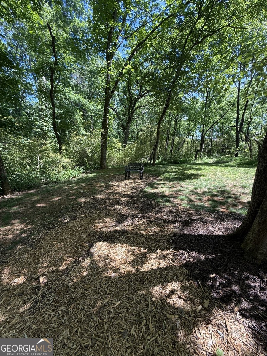 110 Cody Road Mount Airy - Photo 45