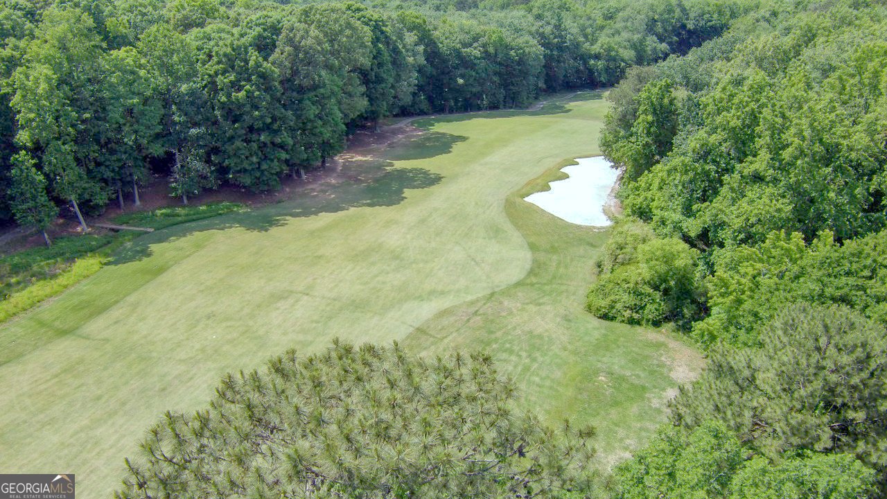 123 Glen Eagle Way McDonough - Photo 59