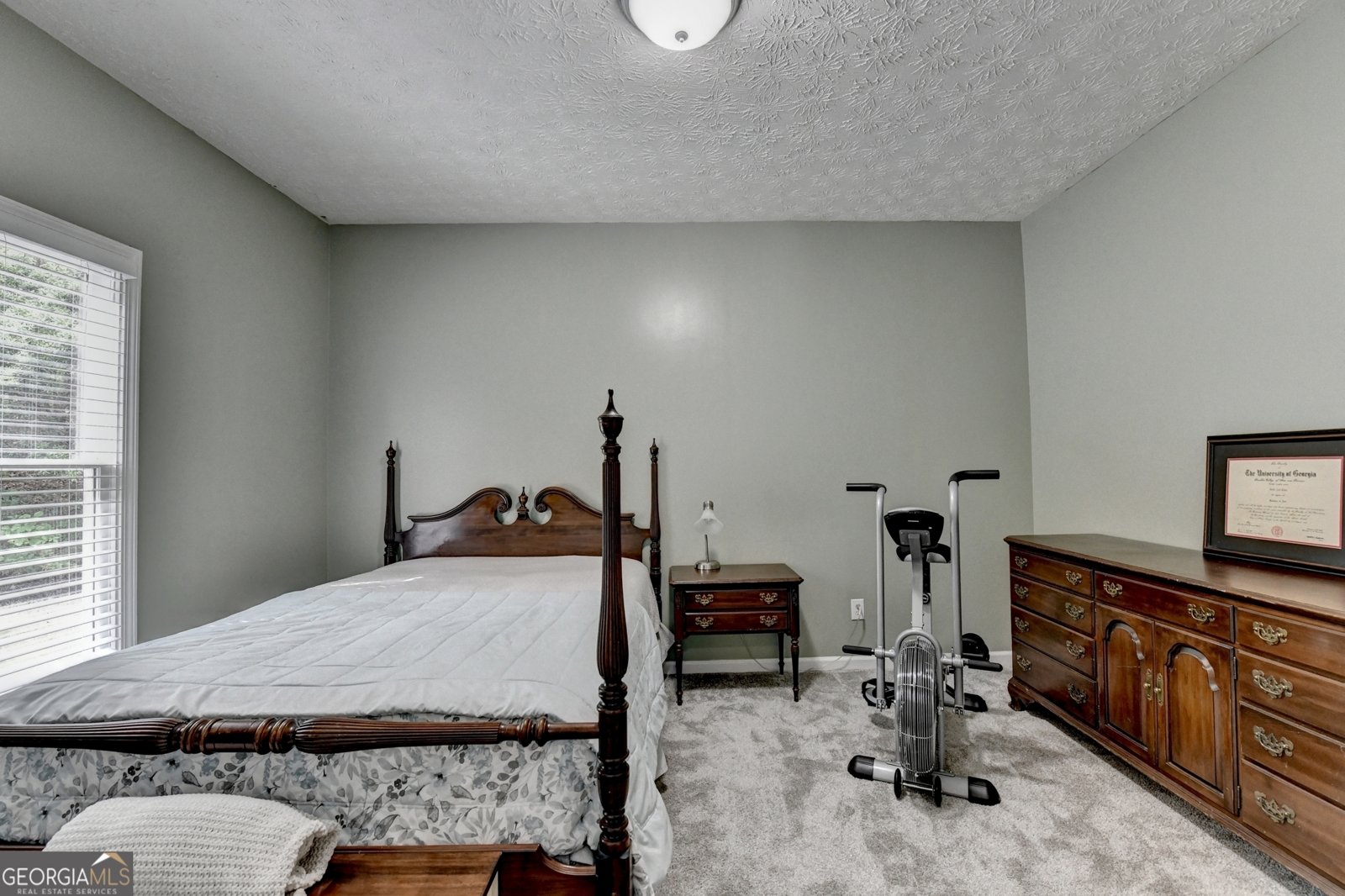 1813 Gold Finch Way Lawrenceville - Photo 24