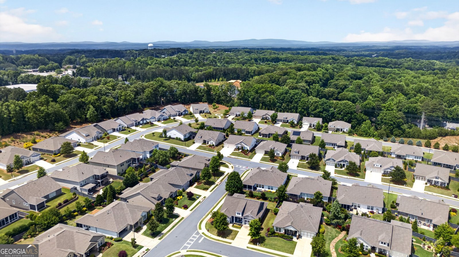 301 Hazel Drive Woodstock - Photo 46