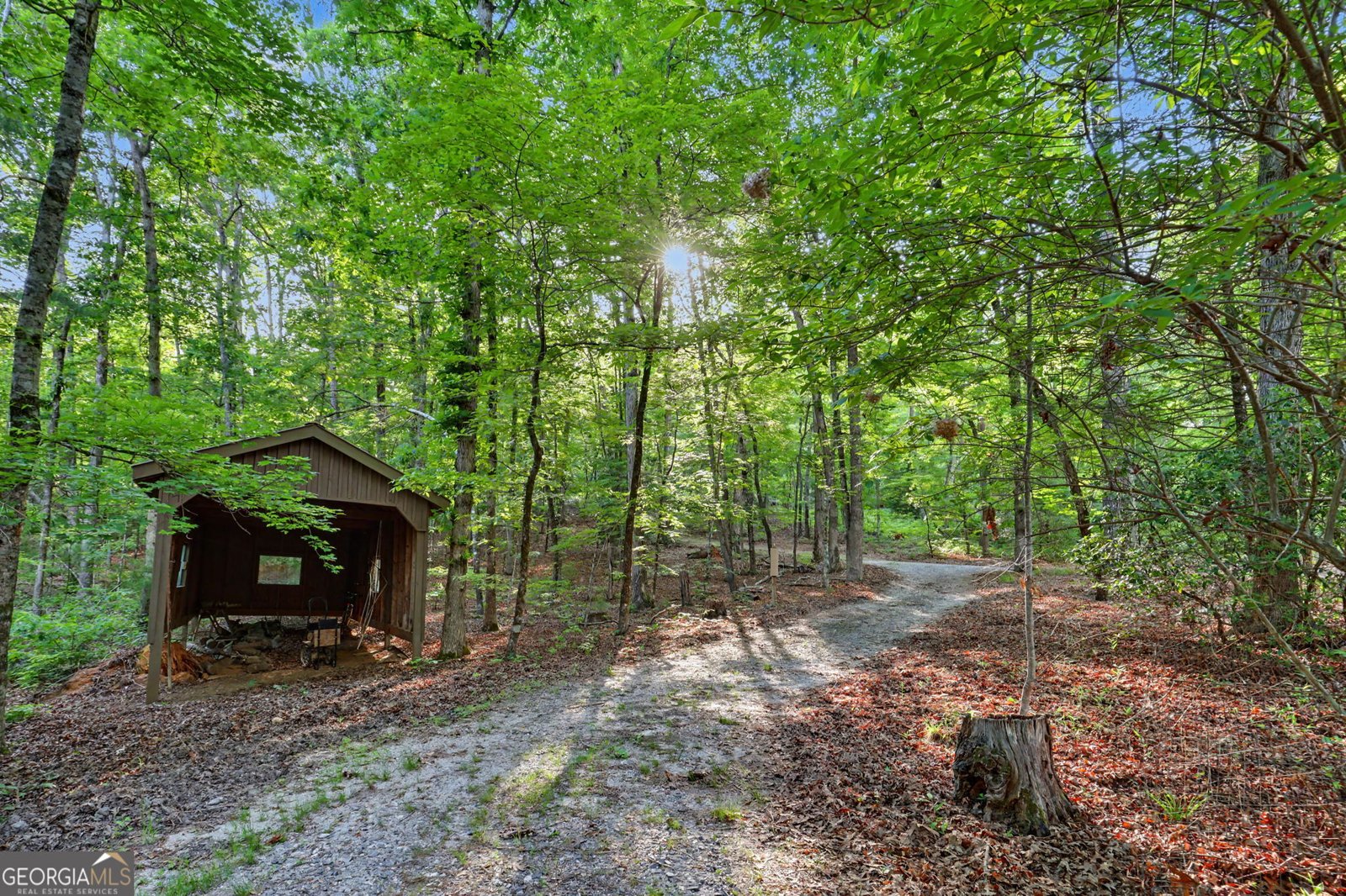 486 Barn Inn Road Lakemont - Photo 51