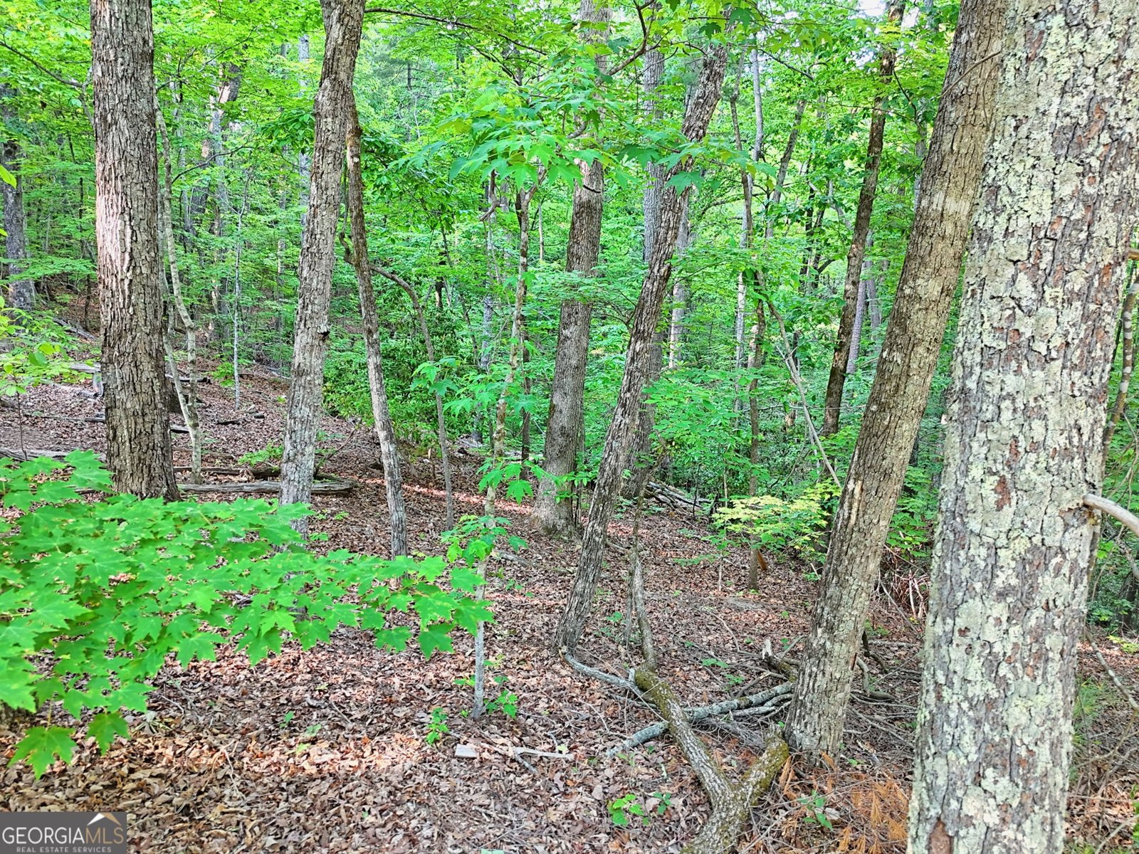 486 Barn Inn Road Lakemont - Photo 60
