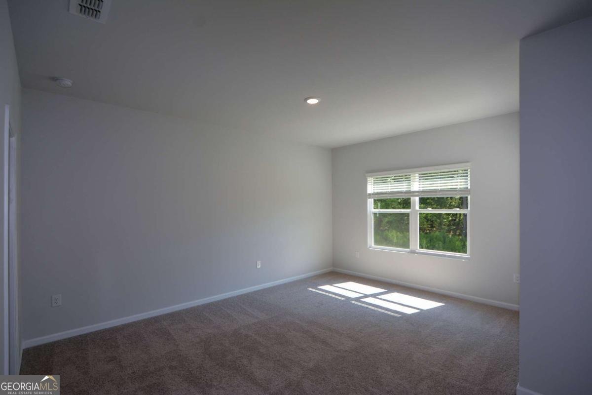 104 Green Love Lane Grayson - Photo 27