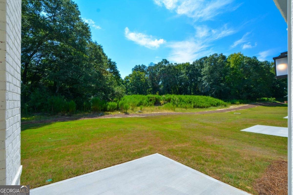 104 Green Love Lane Grayson - Photo 46