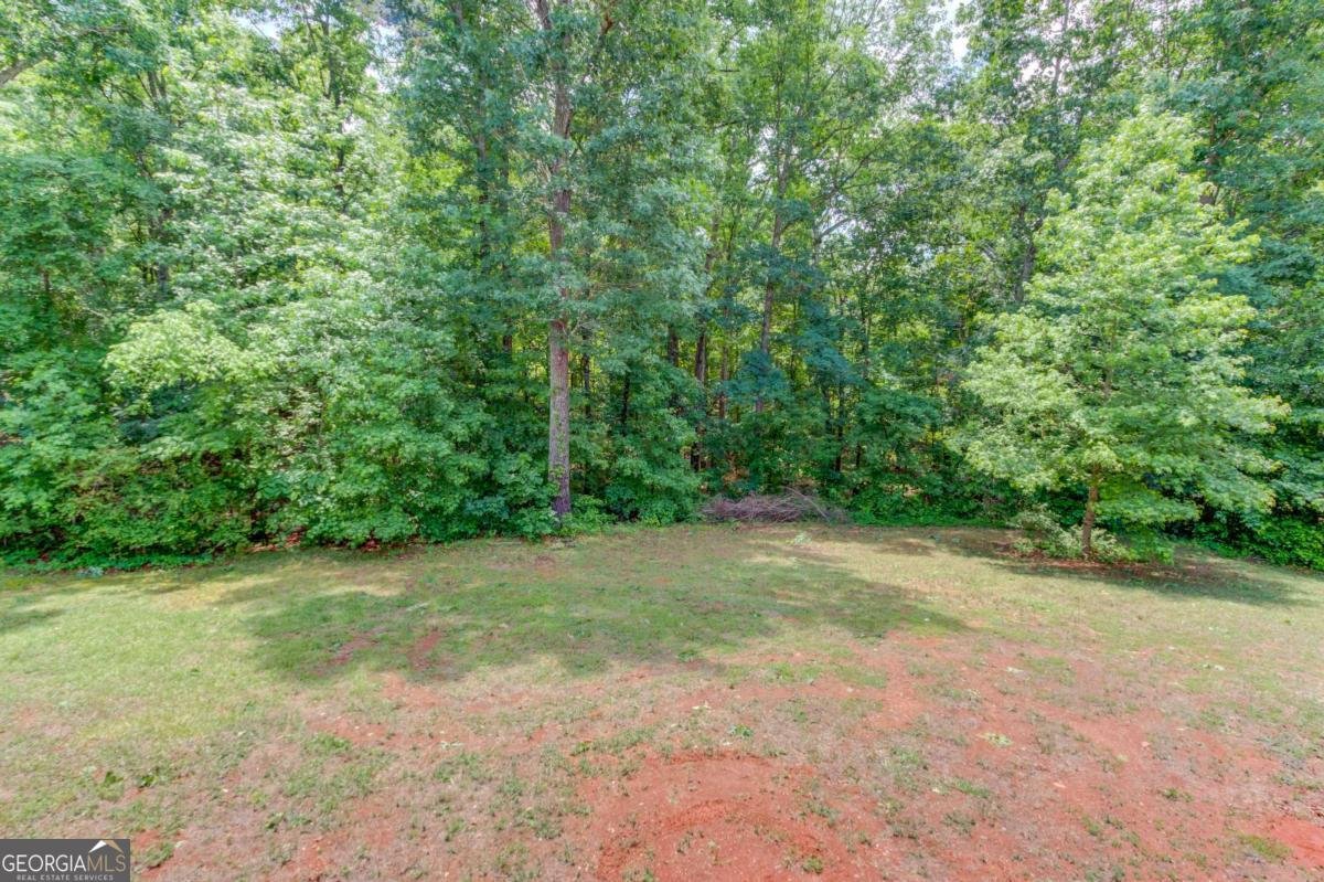 165 John Sharp Road Colbert - Photo 27