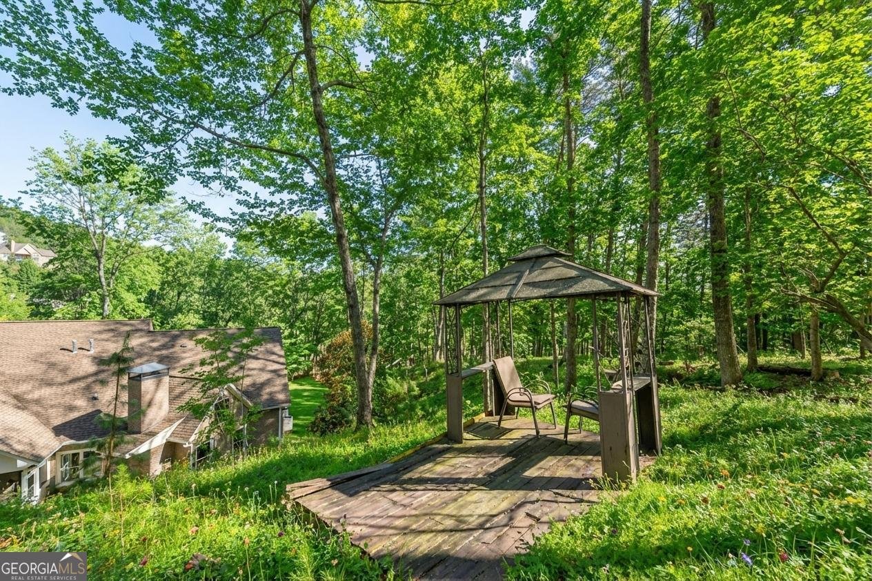 99 Madeline Anthony Road Dahlonega - Photo 53