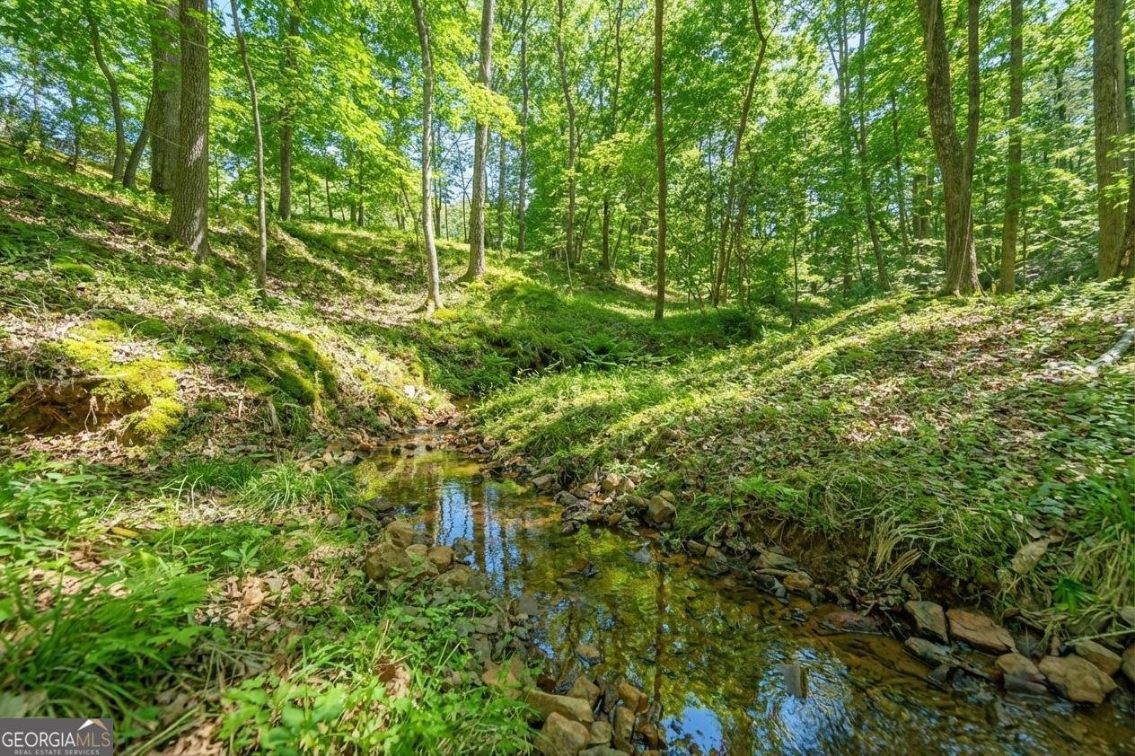 99 Madeline Anthony Road Dahlonega - Photo 54